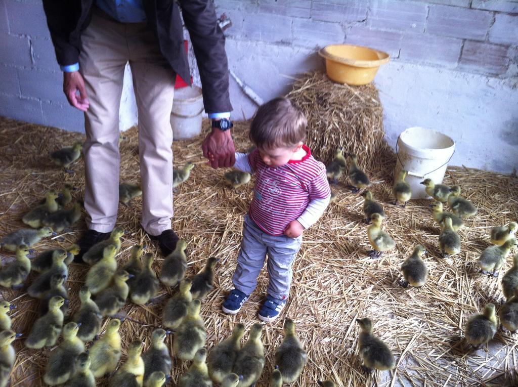 Gites De Madame Escazeaux Dış mekan fotoğraf