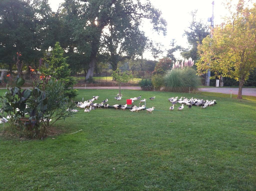 Gites De Madame Escazeaux Dış mekan fotoğraf